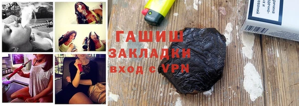 шишки Белокуриха